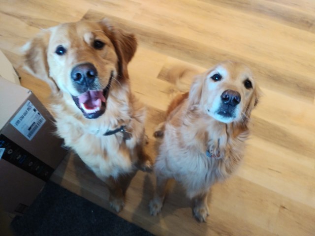 Duke & Jay